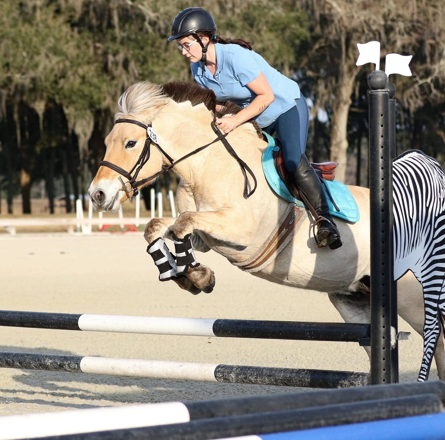 Vortex Equine Horse Transportation Services