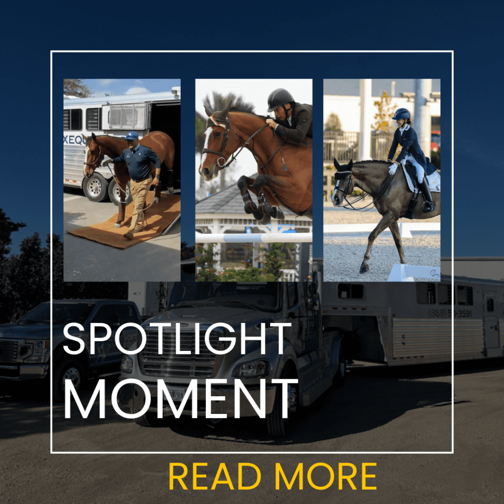 Vortex Equine Horse Transportation Services