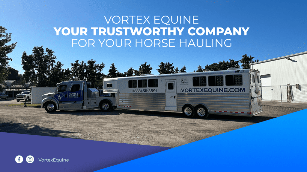 Horse transportation 101 and private equine charter... What you should know as an owner.